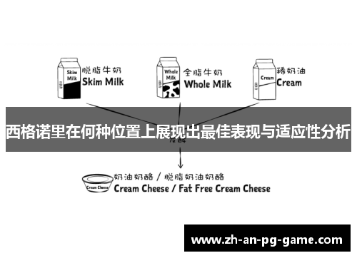 西格诺里在何种位置上展现出最佳表现与适应性分析
